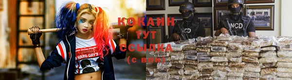 спиды Абинск