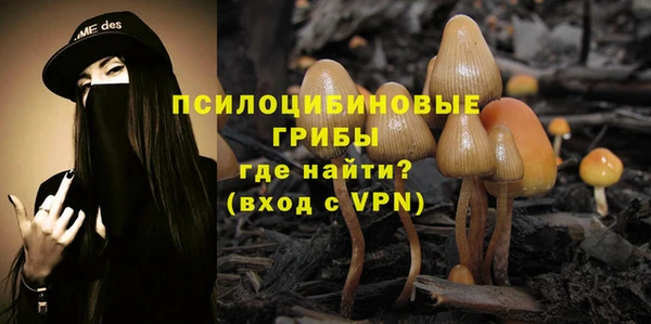 спиды Абинск