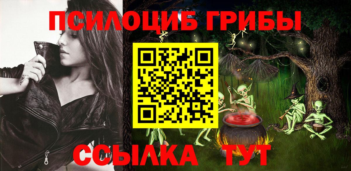 Смоленск  где найти наркотики  Псилоцибиновые грибы прущие грибы  Вход с VPN  Псилоцибиновые грибы ЛСД 