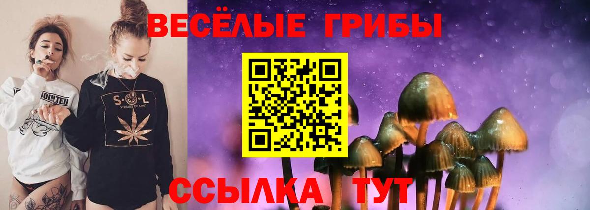 Псилоцибиновые грибы MAGIC MUSHROOMS Смоленск